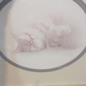 Sleeping Kitty Picture Art